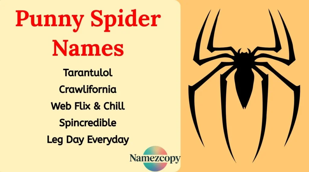 Punny Spider Names