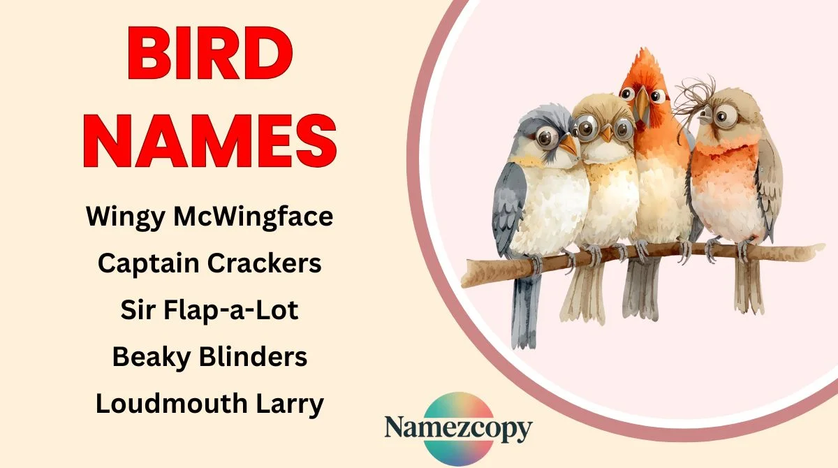 Bird Names