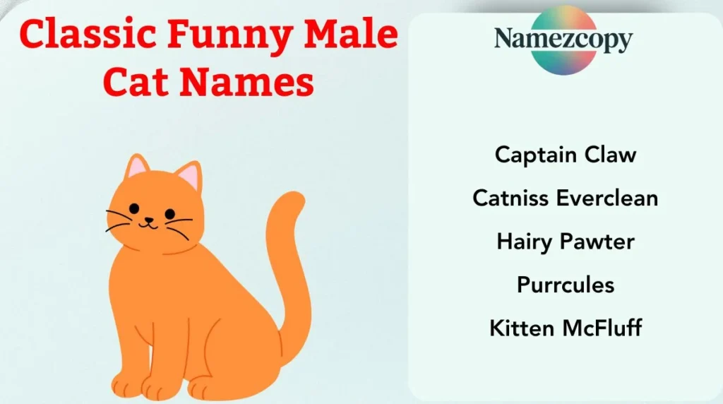 Classic Funny Male Cat Names