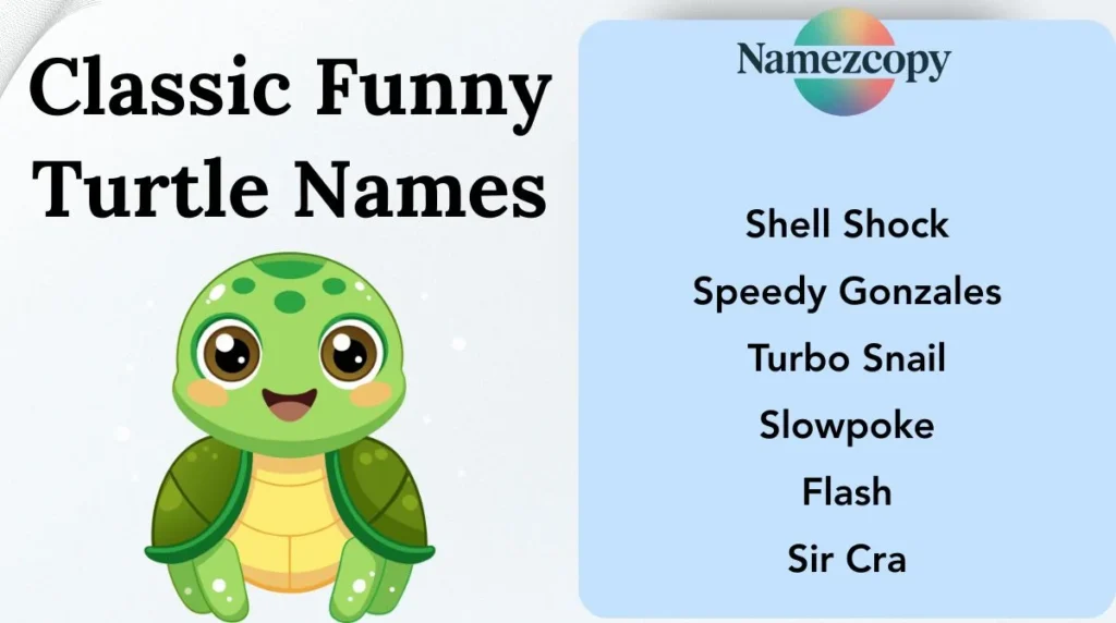 Classic Funny Turtle Names