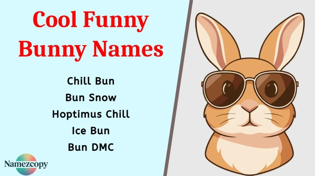 Cool Funny Bunny Names