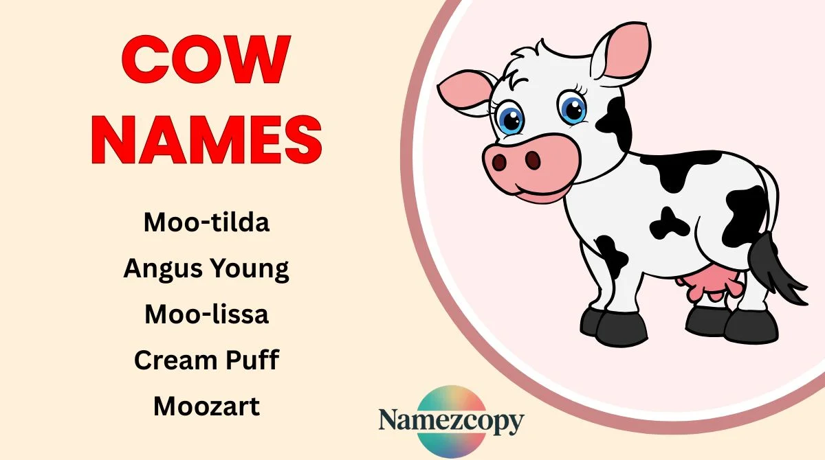 Cow Names