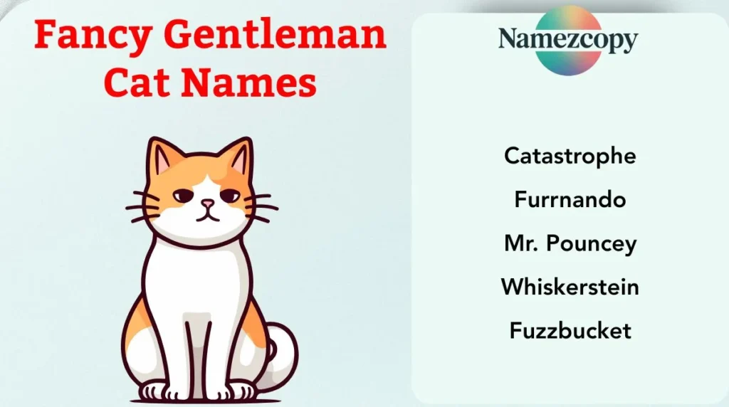 Fancy Gentleman Cat Names