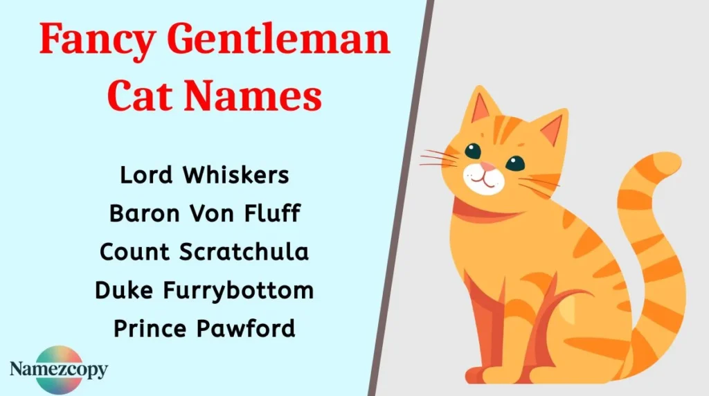 Fancy Gentleman Cat Names