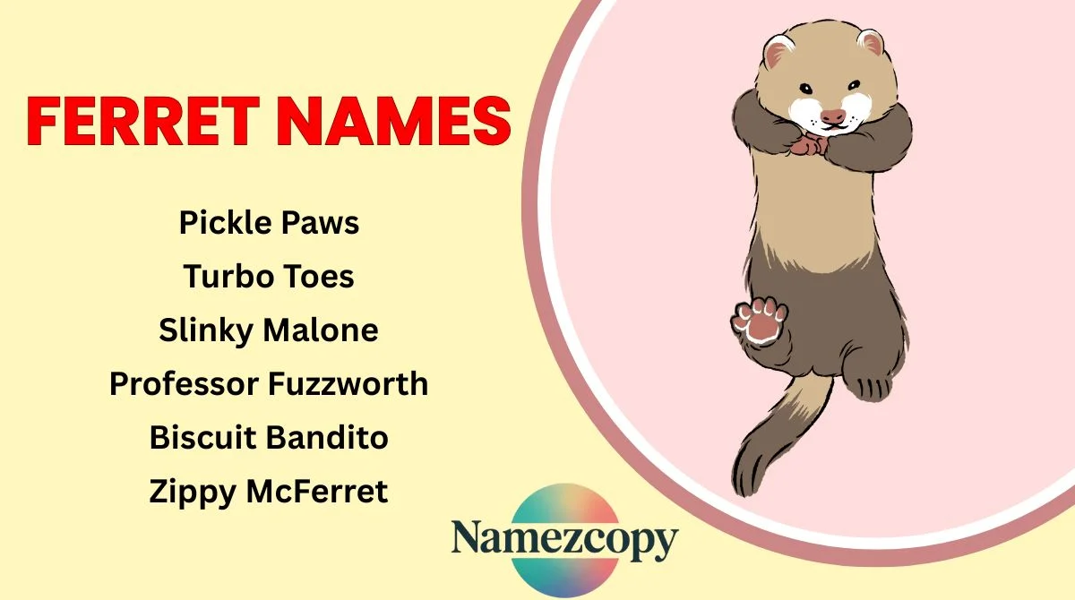 Ferret Names