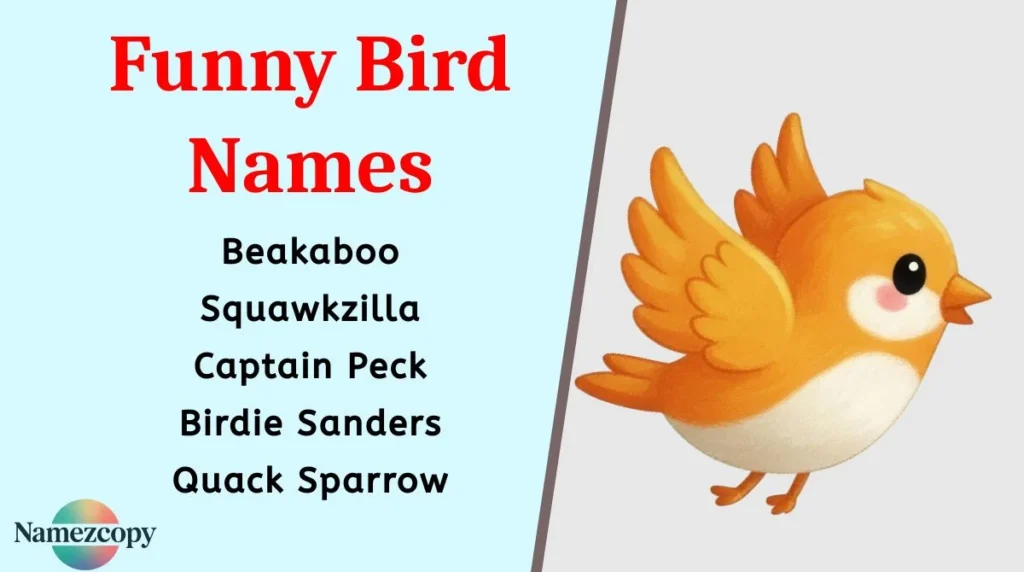 Funny Bird Names