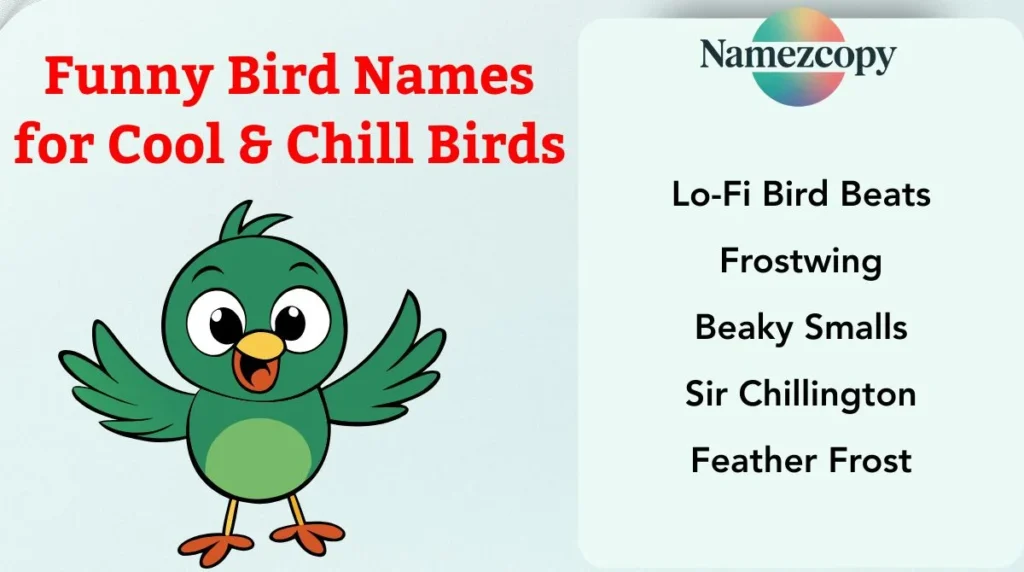 Funny Bird Names for Cool & Chill Birds