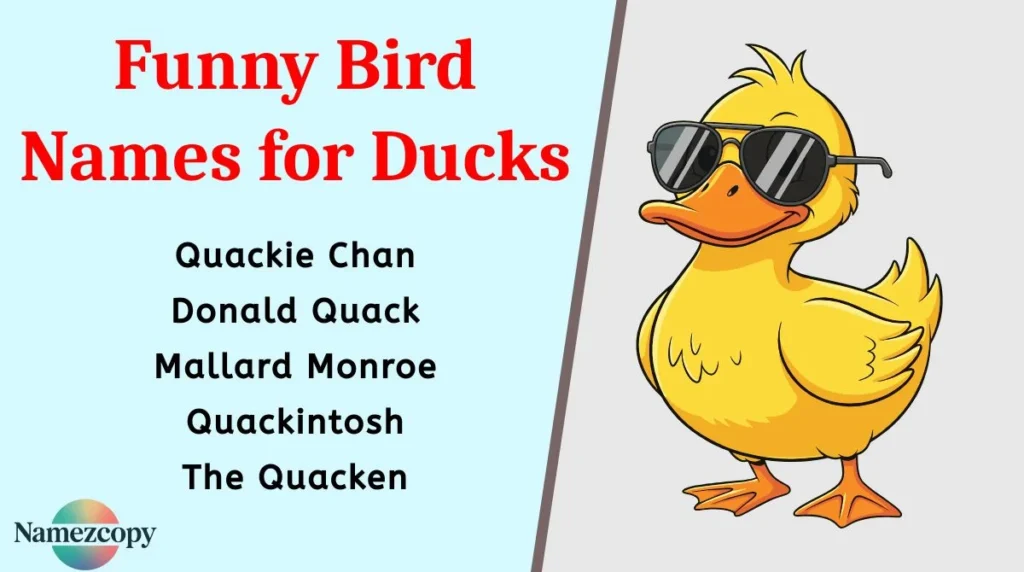 Funny Bird Names for Ducks