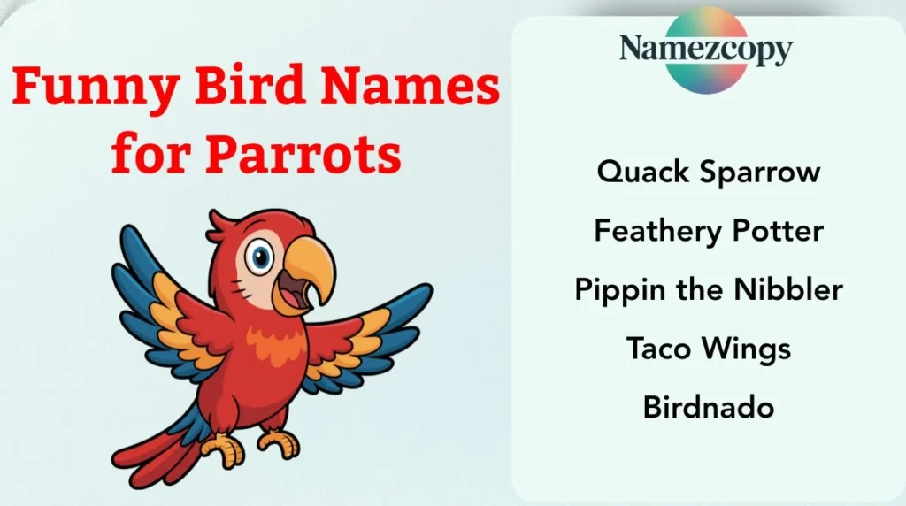 Funny Bird Names for Parrots