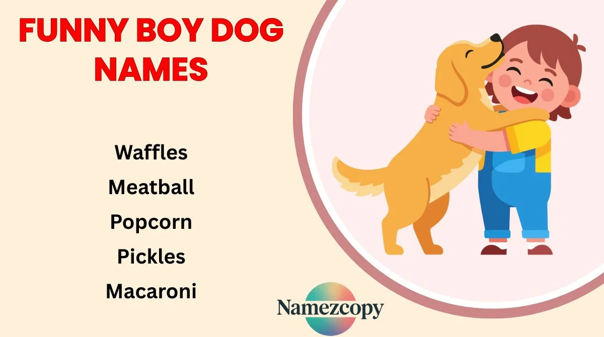 Funny Boy Dog Names