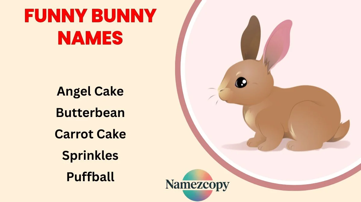 Funny Bunny Names