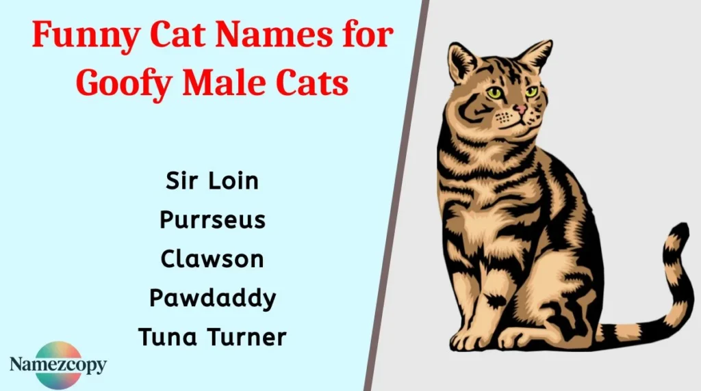 Funny Cat Names for Goofy Male Cats