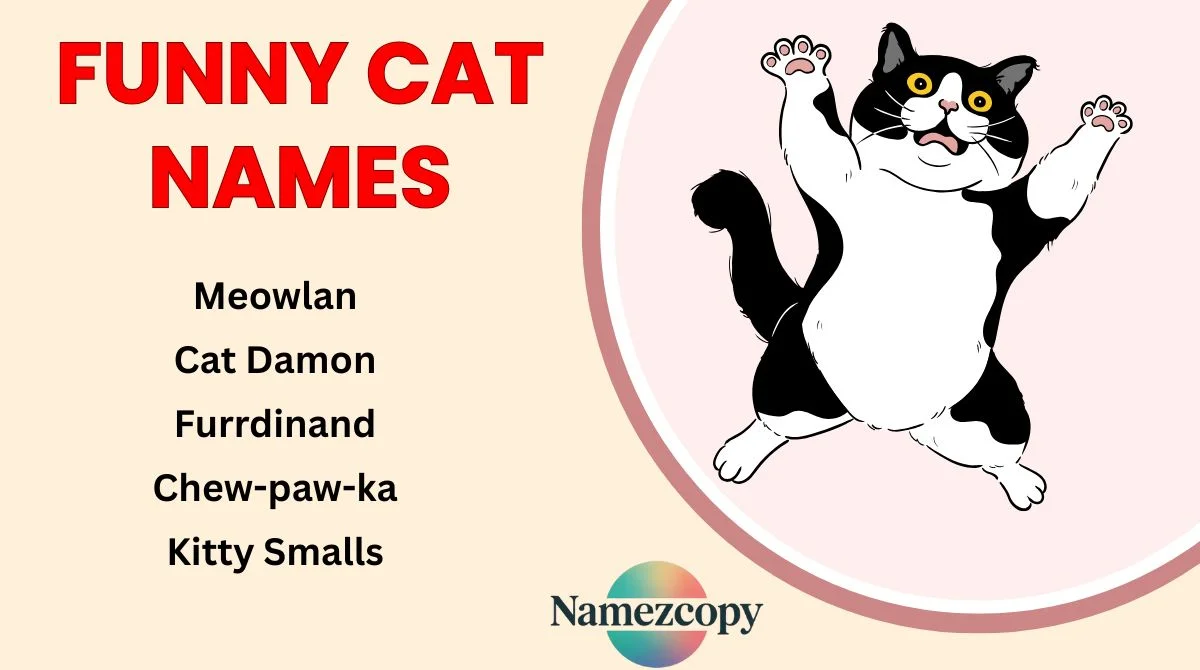 Funny Cat Names