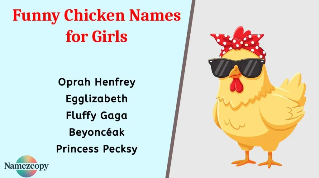 Funny Chicken Names for Girls