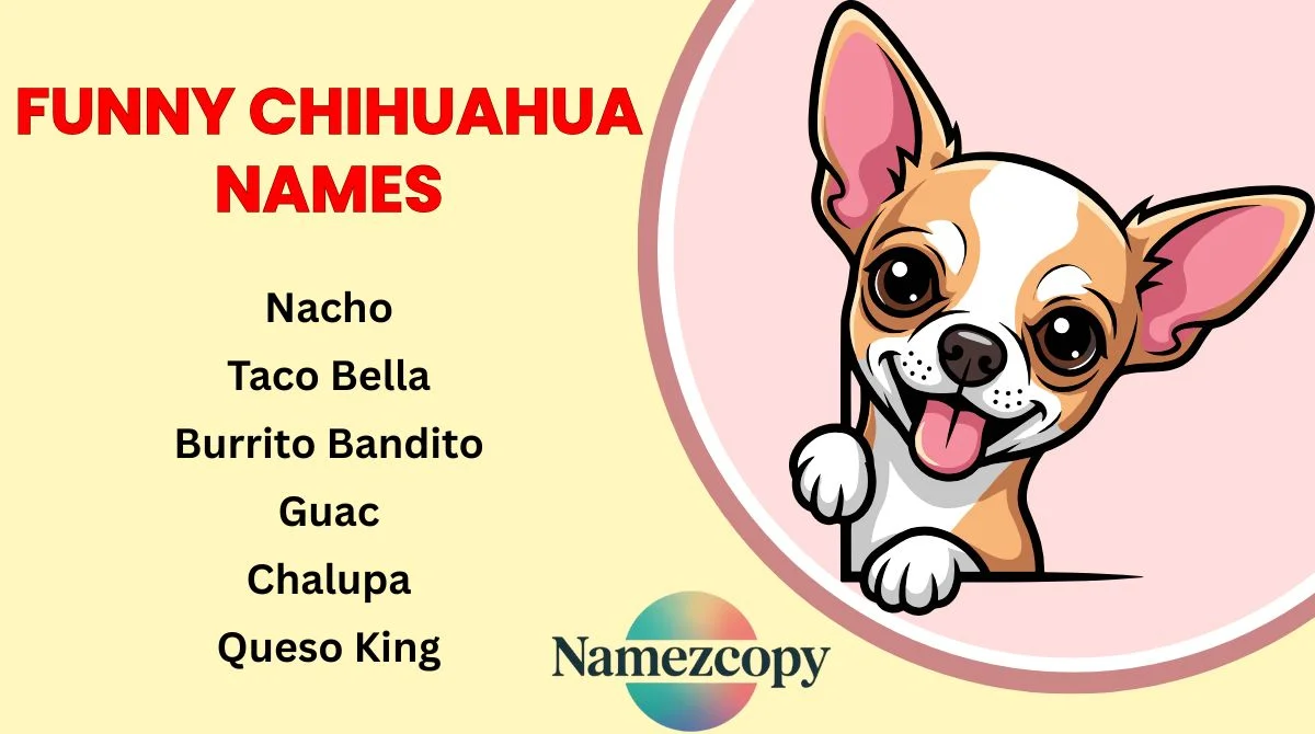 Funny Chihuahua Names