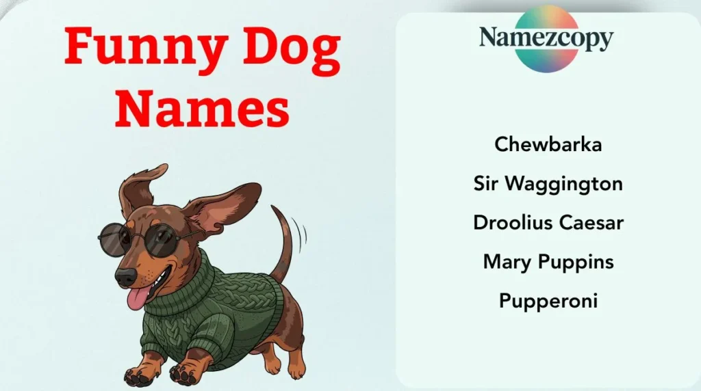 Funny Dog Names
