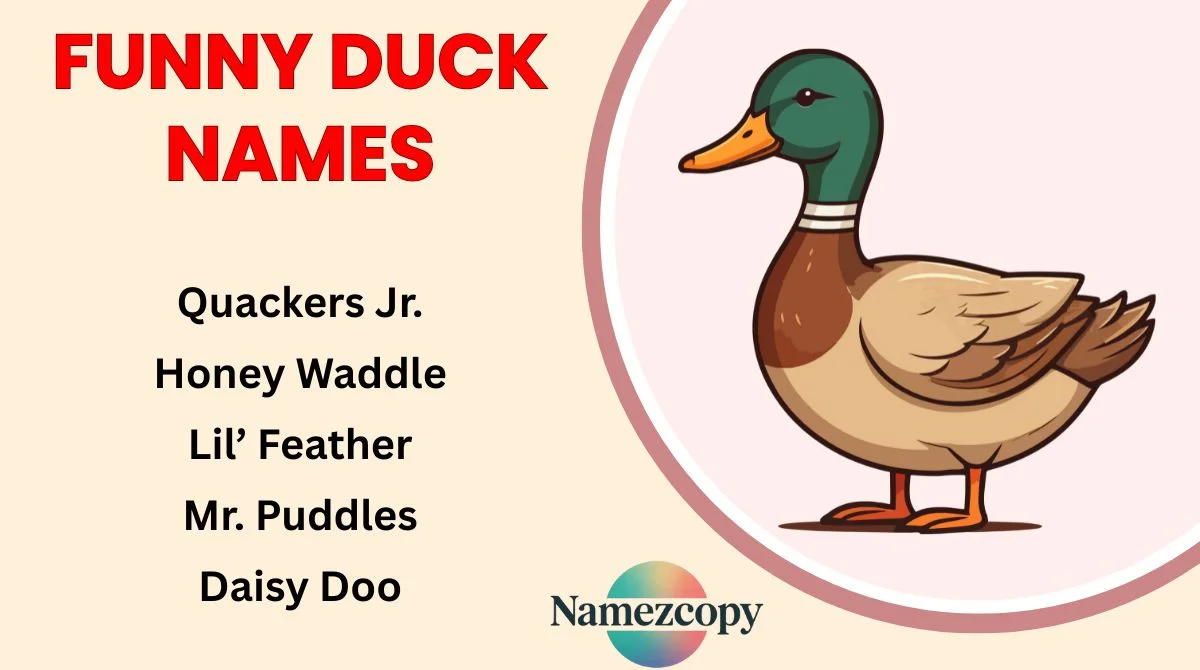 Funny Duck Names