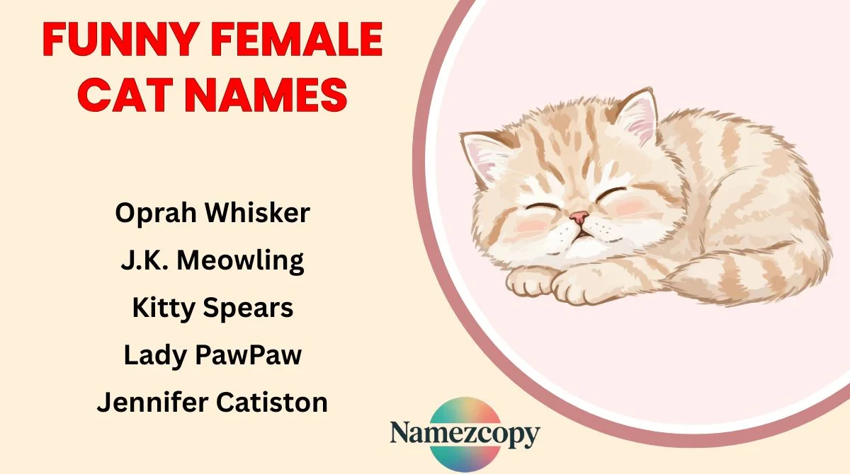 Funny Female Cat Names
