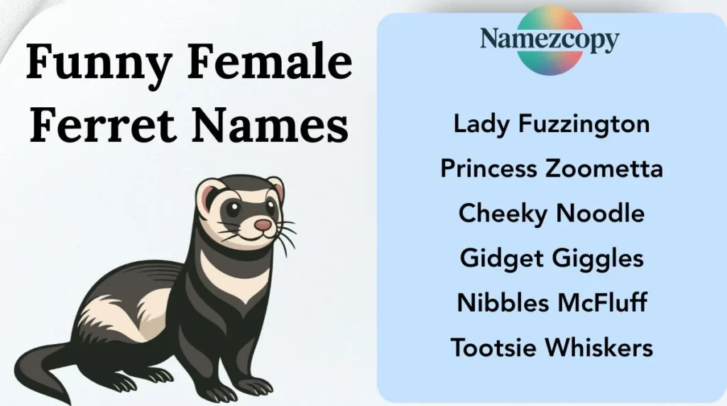 Funny Female Ferret Names