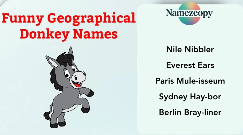 Funny Geographical Donkey Names
