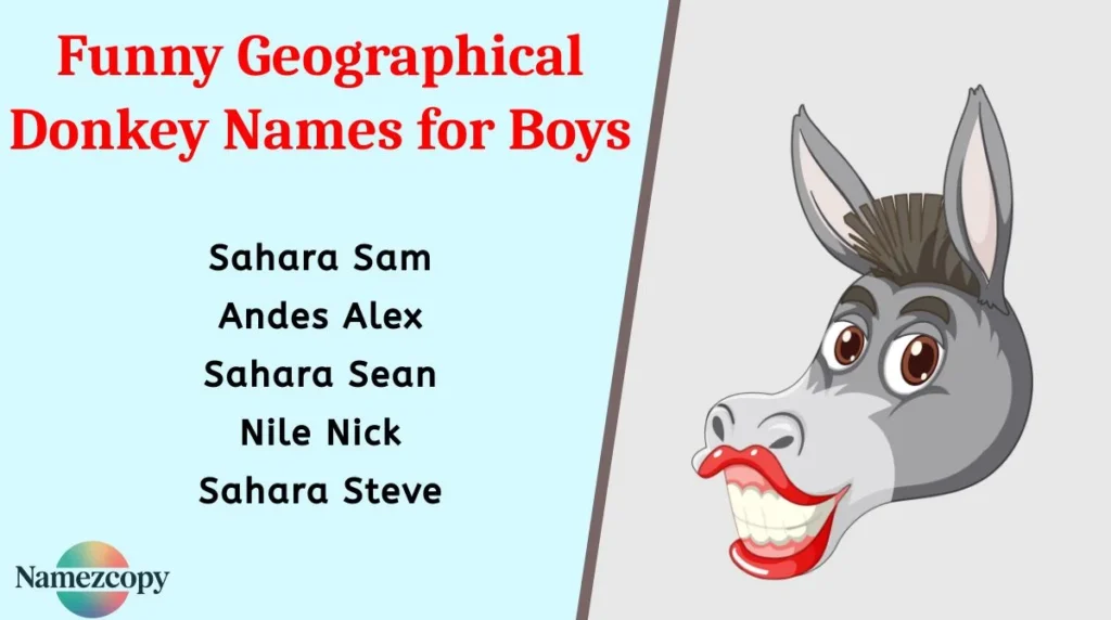 funny-geographical-donkey-names-for-boys