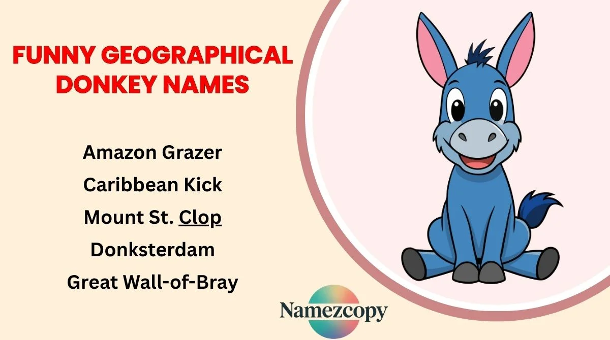 Funny Geographical Donkey Names