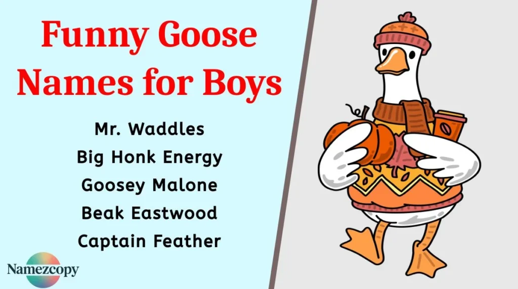 Funny Goose Names for Boys