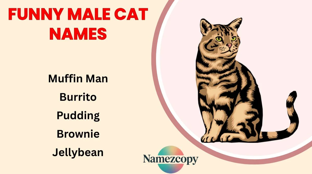 Funny Male Cat Names