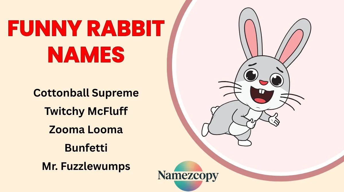 Funny Rabbit Names