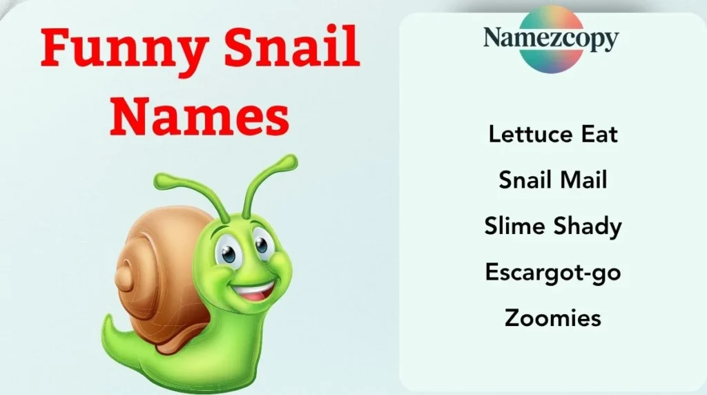 Funny Snail Names