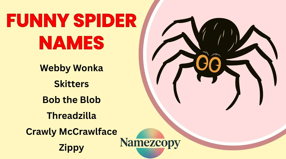 Funny Spider Names