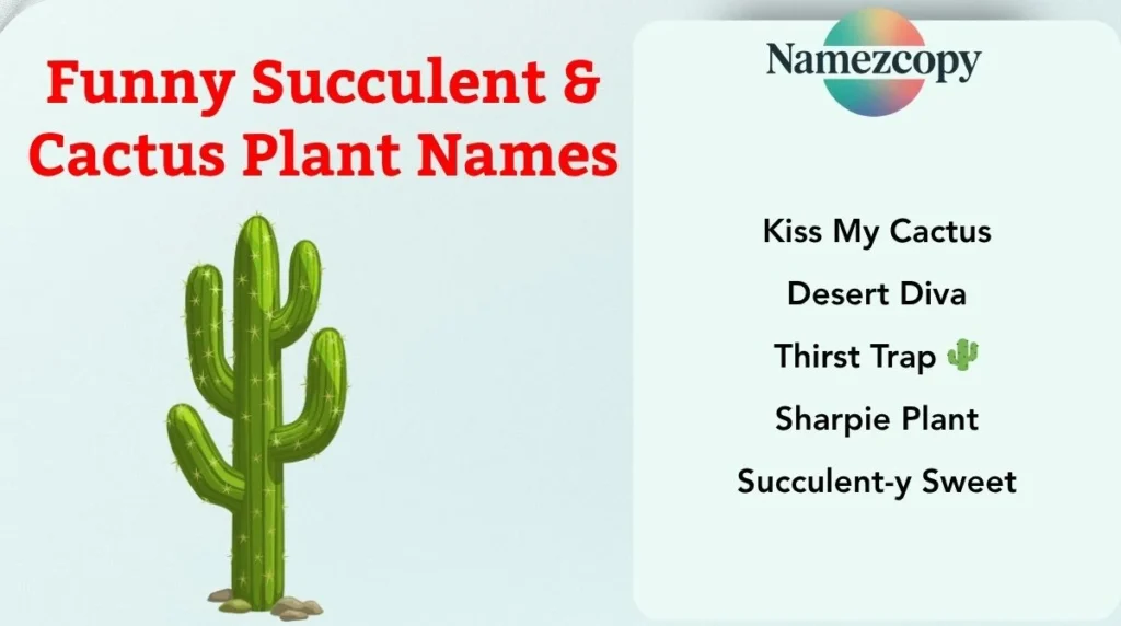 Funny Succulent & Cactus Plant Names
