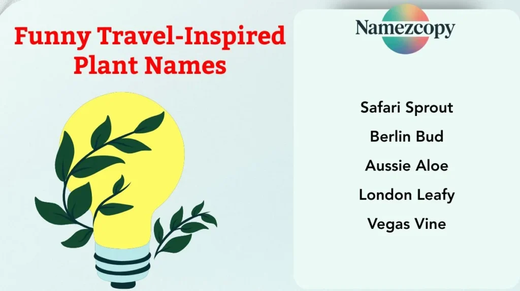 Funny Travel-Inspired Plant Names