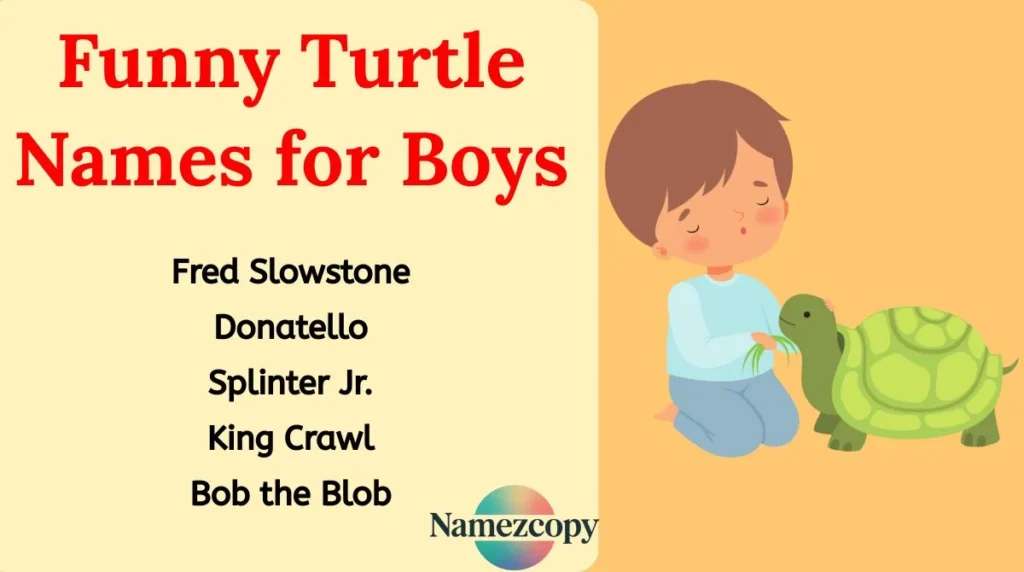 Funny Turtle Names for Boys