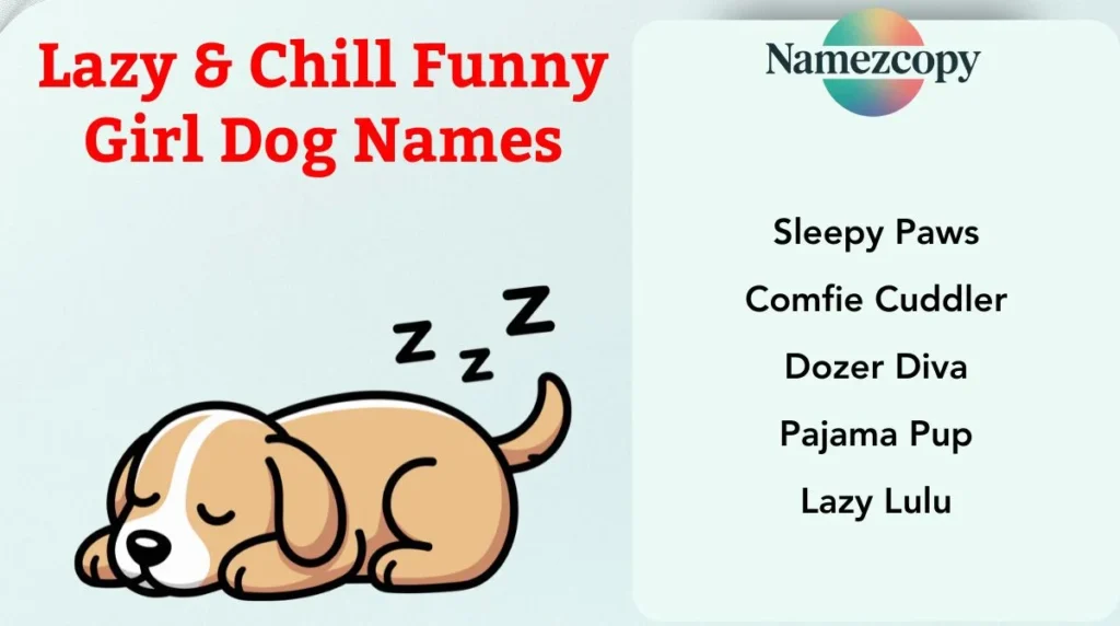 Lazy & Chill Funny Girl Dog Names