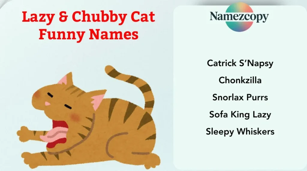 Lazy & Chubby Cat Funny Names