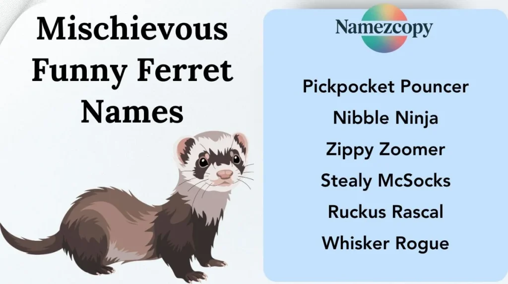 Mischievous Funny Ferret Names