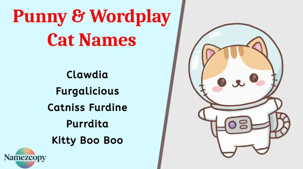 Punny & Wordplay Cat Names