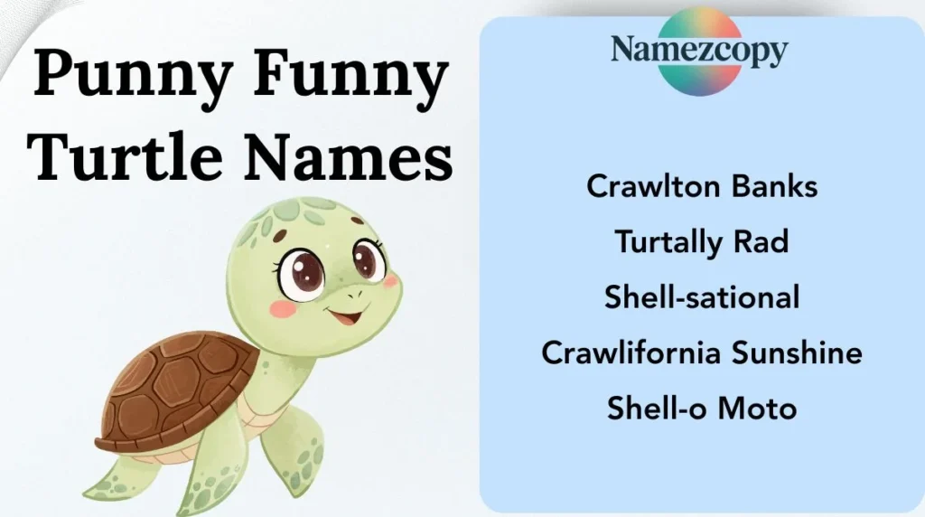 Punny Funny Turtle Names