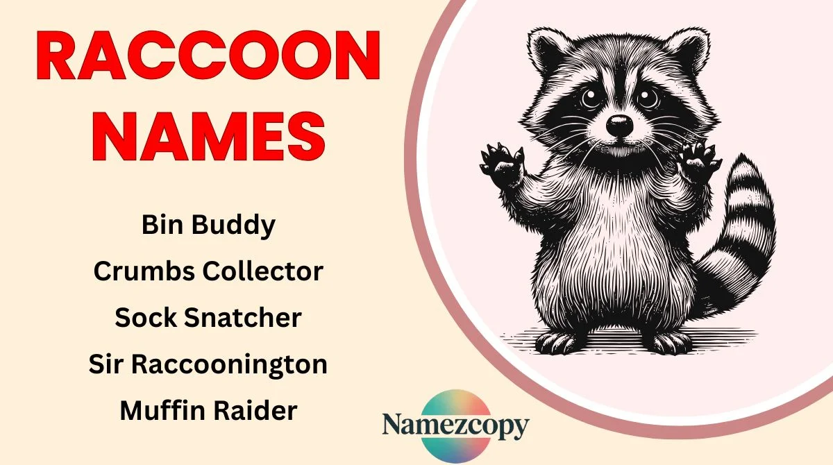 Raccoon Names