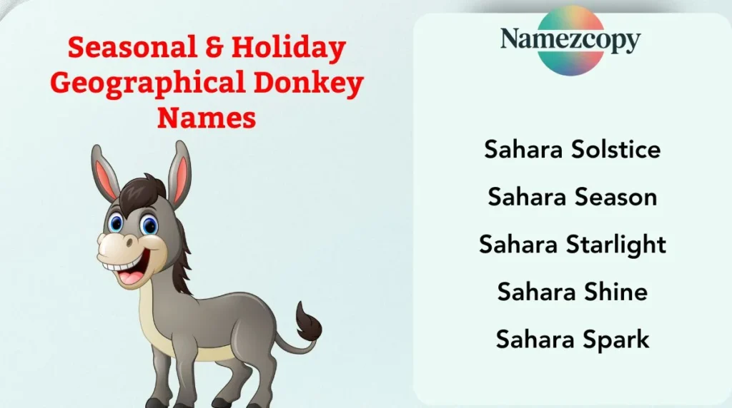 Seasonal & Holiday Geographical Donkey Names
