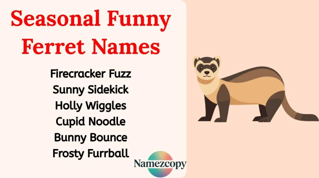 Seasonal Funny Ferret Names