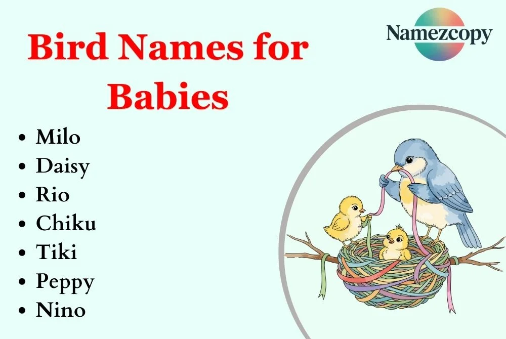 Bird Names for Babies
