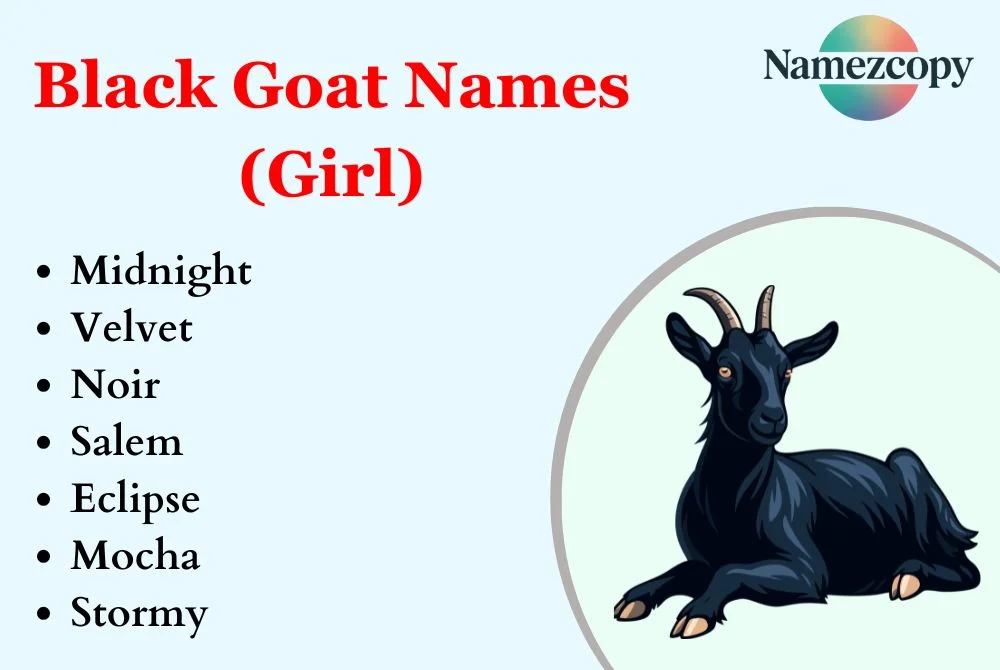 Black Goat Names (Girl)