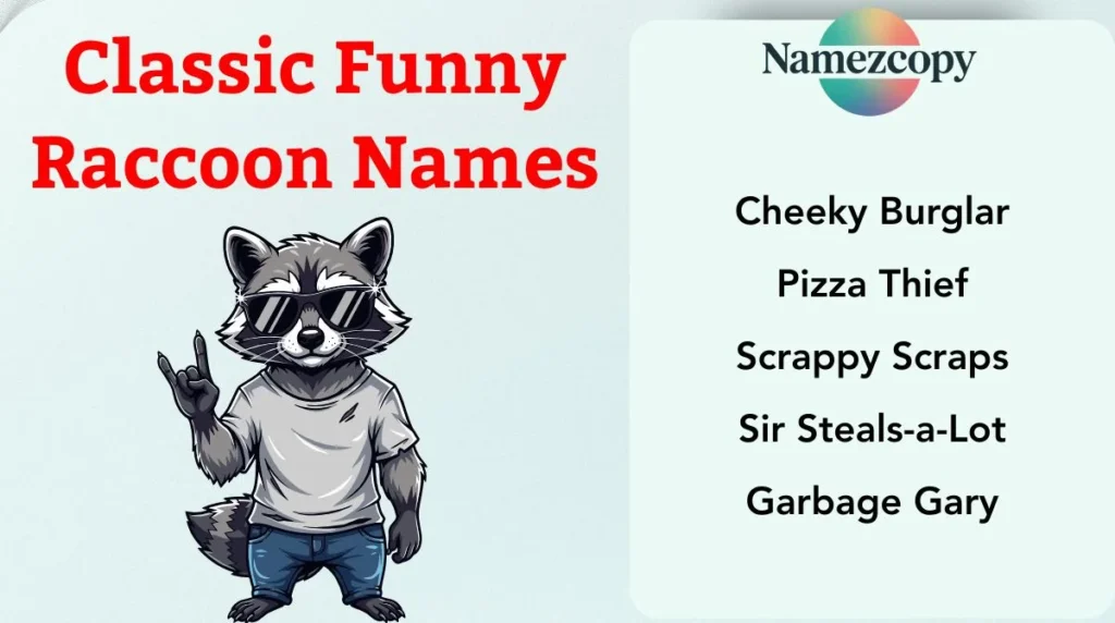 Classic Funny Raccoon Names