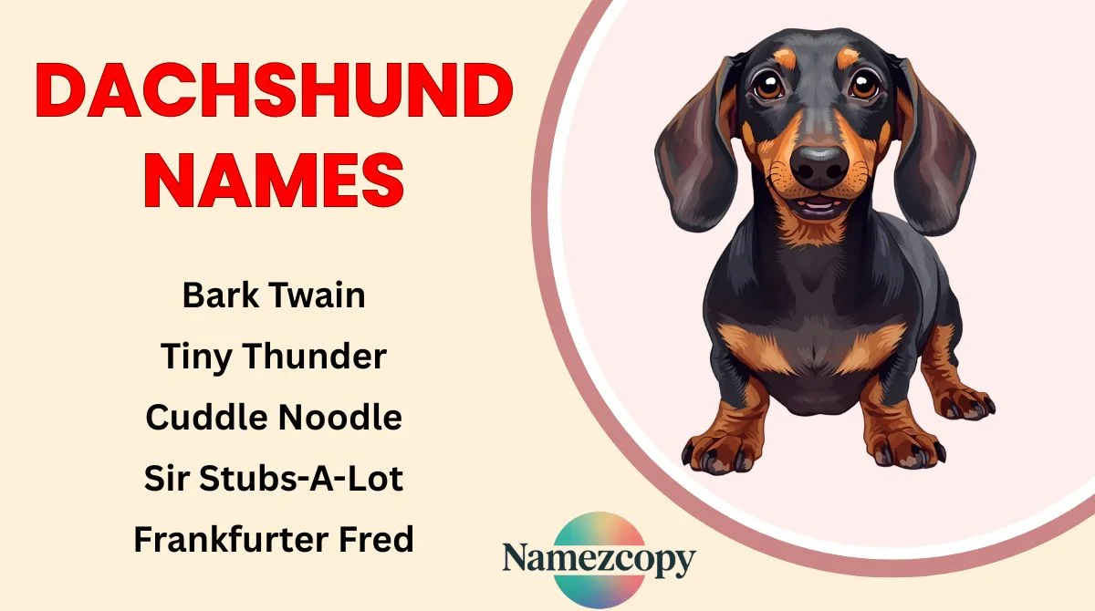 Dachshund Names