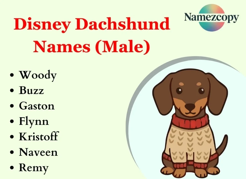 Disney Dachshund Names (Male)