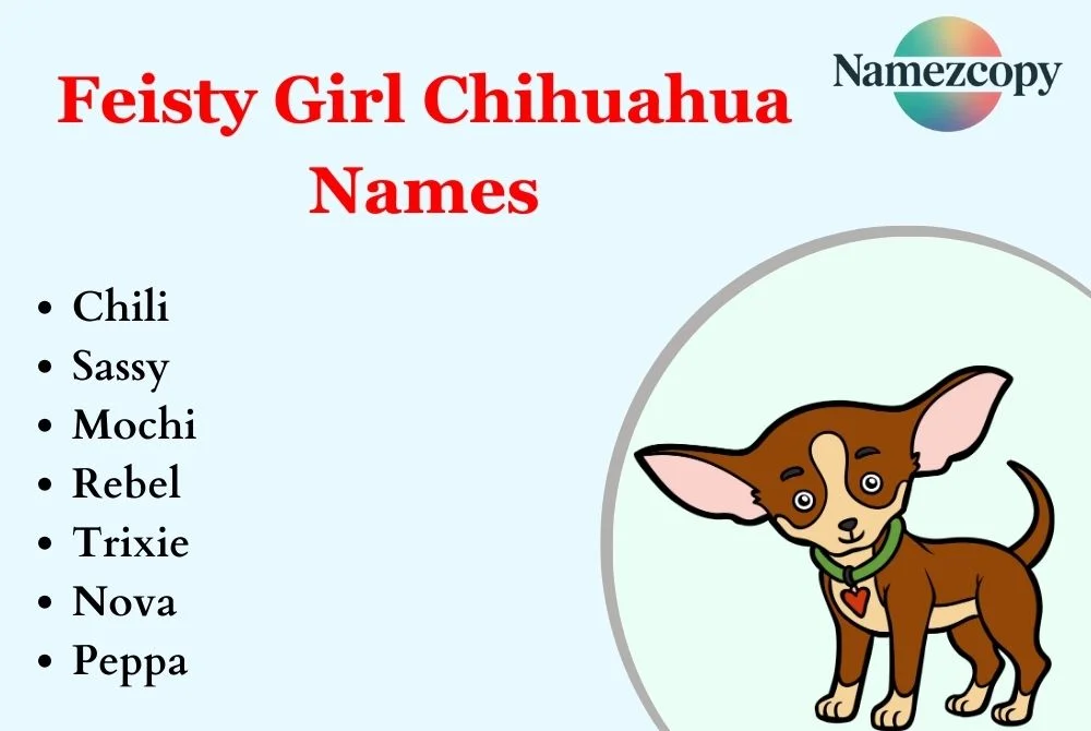 Feisty Girl Chihuahua Names