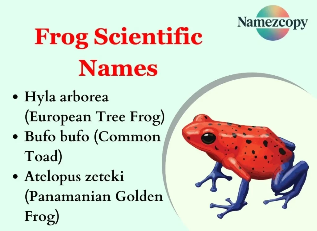 Frog Scientific Names