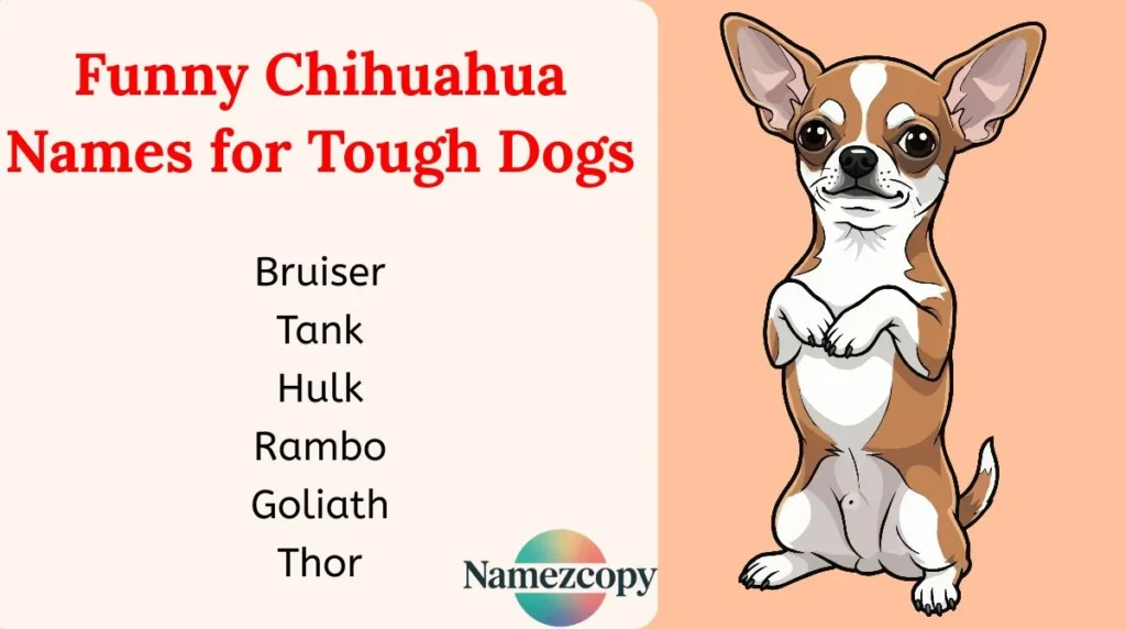 Funny Chihuahua Names for Tough Dogs